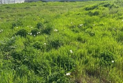 Teren Construcții intravilan de 1400 mp, în Preajba - 6