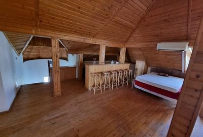 Ovidiu-vila D+P+1+M libera aproape de lac - 22