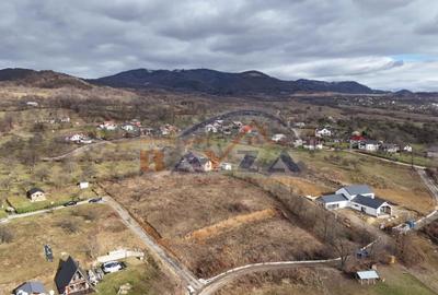 Teren de 5613 mp, în Șișești - 5