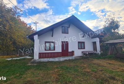 Casă cu 2 camere în Domnești - 16
