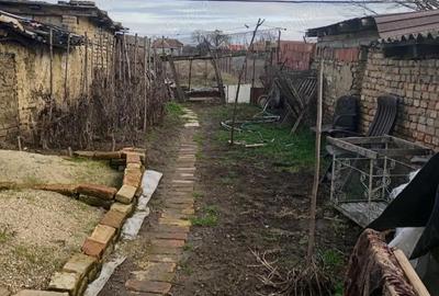 Casă cu 4 camere cu Teren 1600 Mp în Lenauheim - 1