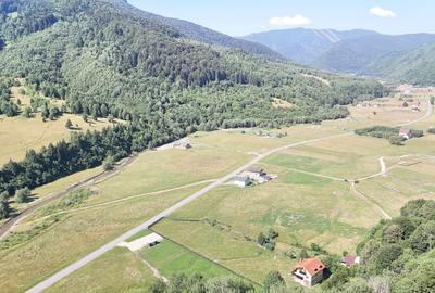 Teren intravilan 1108mp la Plaiul Foii Zarnesti Brasov - 5