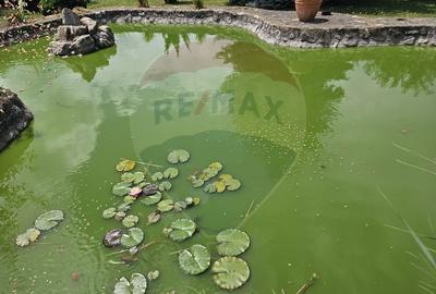 Vila deosebita cu gradina superba si panorama - Ghimbav, ultracentral - 31