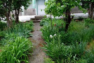 Casă cu 4 camere în Horia - 1
