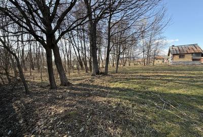 Spațiu comercial, în Peștișani - 16