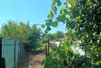 Casă cu 2 camere cu Teren 798 Mp în Sâncraiu de Mureș - 4