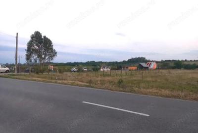 Teren de 507 mp, în Băbeni - 3