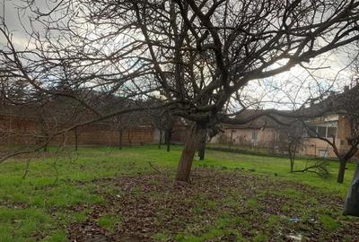 Teren de 1007 mp, în Lipovei - 4