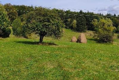 Teren intravilan situat in Traisteni - 4