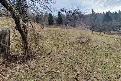 Teren rezidential Bran Simon zona de case - 3