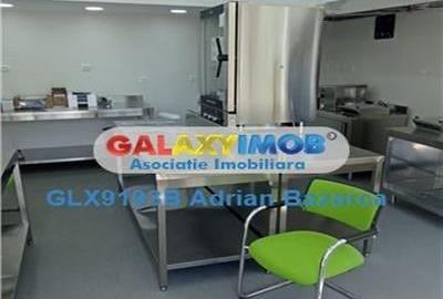 Spatiu comercial parter de vila, zona Doamna Ghica-Pod - 1