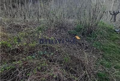 Teren de 3000 mp, în Orașu Nou - 2
