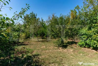 Casă cu 3 camere cu Teren 4000 Mp în Rovina (Brănișca) - 5