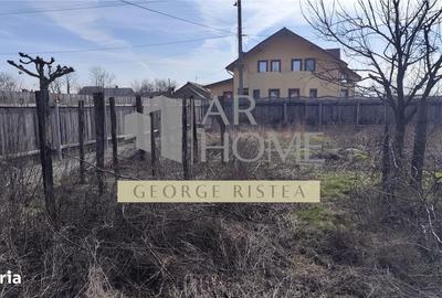 Casă cu 6 camere decomandat cu Teren 1438 Mp în Tomșani - 12