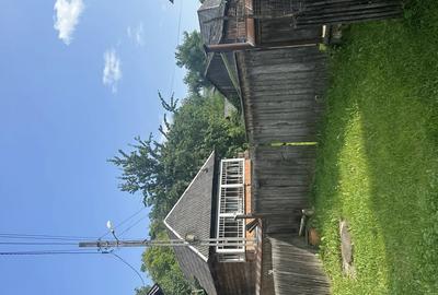 De vanzare casa la ?ara lini?te, natura ?i izvor de apa sarata! - 2