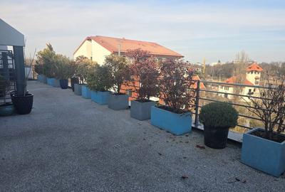 Spațiu comercial, de 2,520 mp, în Floreasca - 7