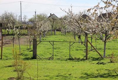 Casa deosebita de vanzare in Comlo?u Mare - 4