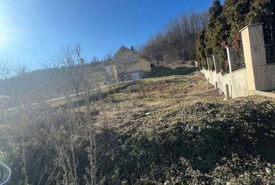 Teren de 1100 mp, în Viișoara - 1