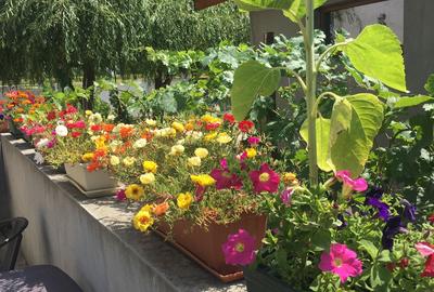 Vilă spectaculoasă – 249 mp utili, teren 881 mp, dotări premium, mobilata - 34