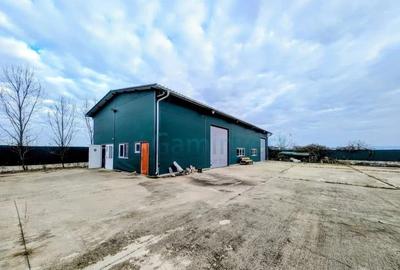 Spațiu industrial, de 250 mp, în Hodiș - 1