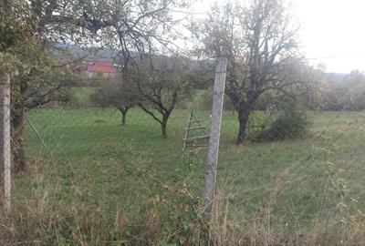 Teren Josenii Bargaului - 2