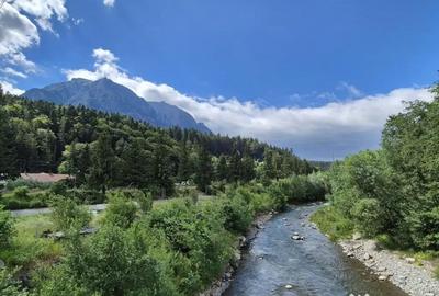 Apartament cu 2 camere decomandat în Zamora - 4