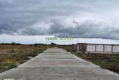 Teren de 500 mp, în Frumușani - 5