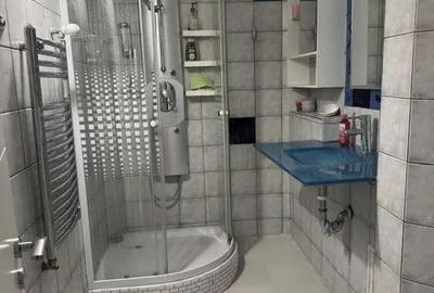 Apartament cu 3 camere semidecomandat, mobilat în Sălaj - 7