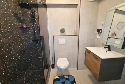 Apartament cu 2 camere decomandat, mobilat în Titan - 17