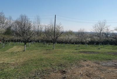 Casă cu 4 camere în Smeura - 3
