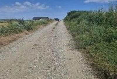 Teren de 13700 mp, în Bălteni - 2