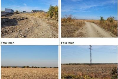 Teren de 8821 mp, în 1 Decembrie