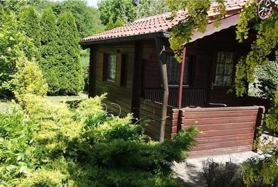 Casă cu 5 camere cu Teren 4500 Mp în Lerești - 5