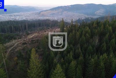 Teren situat in Frasin | BUCOVINA - 8