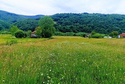 2335 mp TEREN INTRAVILAN, Negreni – Cluj, la 100 m de E60 Cluj – Oradea - 2