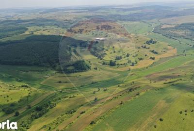 Teren de 3000000 mp, în Bârghiș - 3