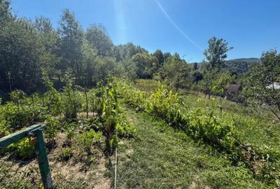 Casă cu 3 camere cu Teren 1027 Mp în Central - 1