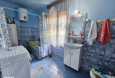 Casă cu 5 camere cu Teren 4484 Mp în Balinț - 18