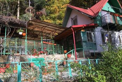 Casa si teren 1000 mp, Sinaia, zona excelenta, pe Furnica, langa Peles - 4