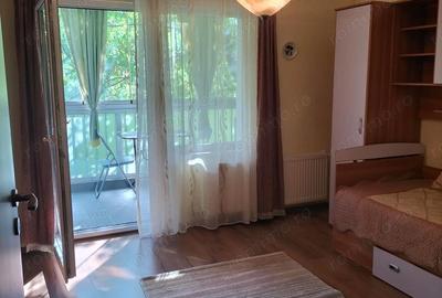 Garsonieră decomandată, mobilată în Tineretului - 9