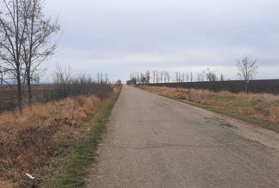 Spațiu comercial, în Bogdănești - 5