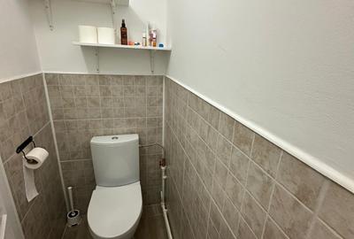 Vanzare apartament 3 camere Crangasi Parc - 12