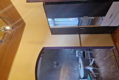 Apartament deosebit 2 camere de vanzare Timisoara - 3