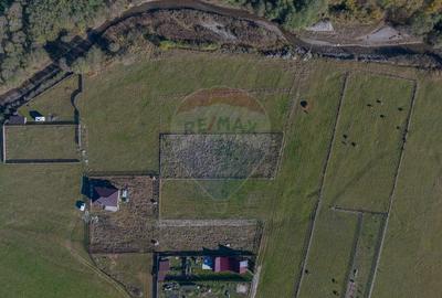 Teren Construcții intravilan de 2100 mp, în Plaiul Foii - 1