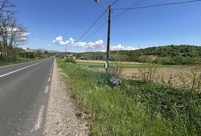 Teren 3,400mp Copalnic / Strada principala - 9