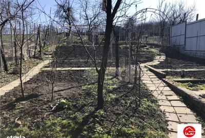 Casă cu 3 camere cu Teren 1100 Mp în Pănet - 3