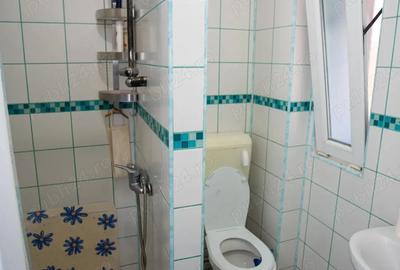 Casă cu 1 camere cu Teren 180 Mp în Aușeu - 3