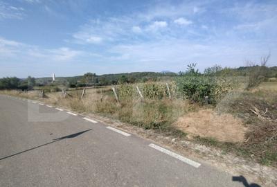 Casa 160mp utili+anexe+teren 67 ari intravilan,10 km distant - 7