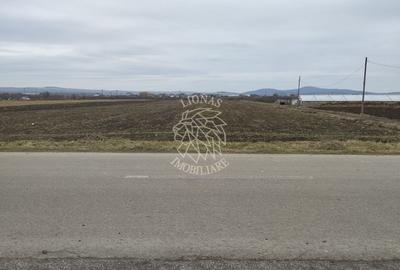 Teren Construcții intravilan de 2500 mp, în Jelna - 2