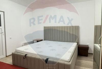 Casa / Vila cu 3 camere de inchiriat in zona Giurgiului - 4